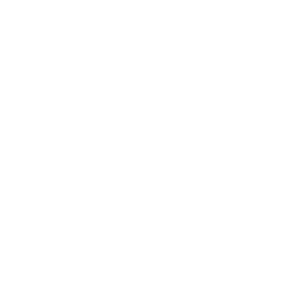 Muskoka Arc